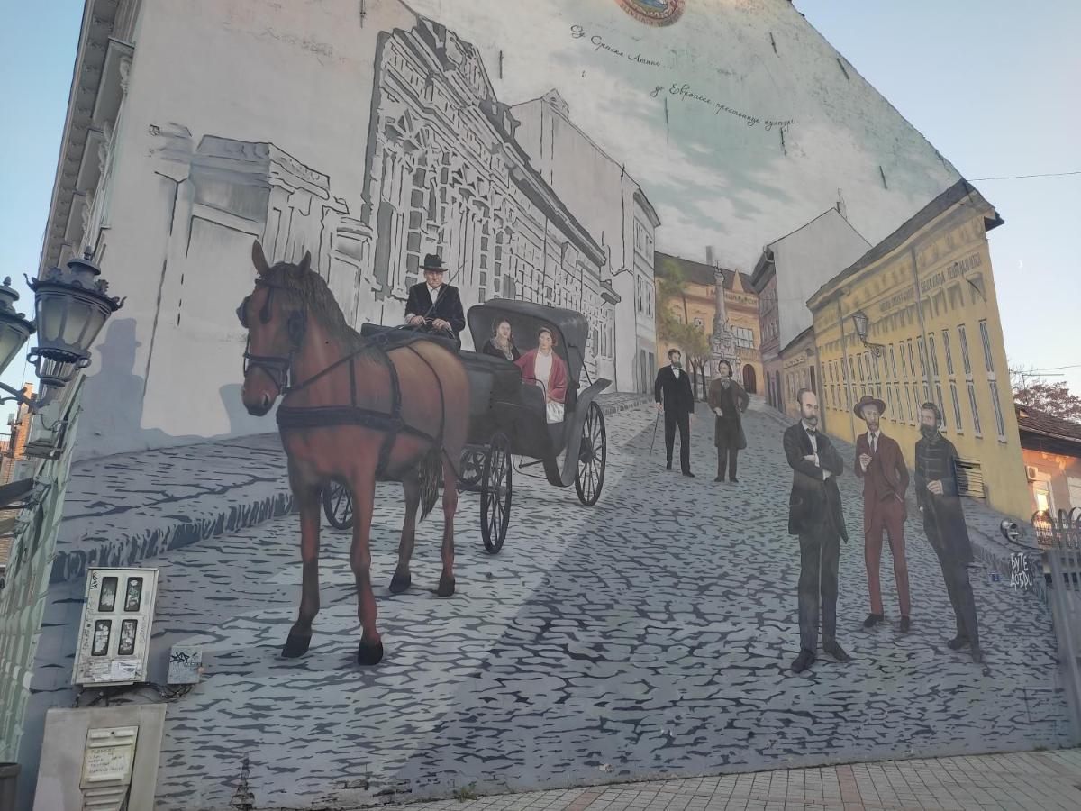 Woody Lägenhet Novi Sad Exteriör bild