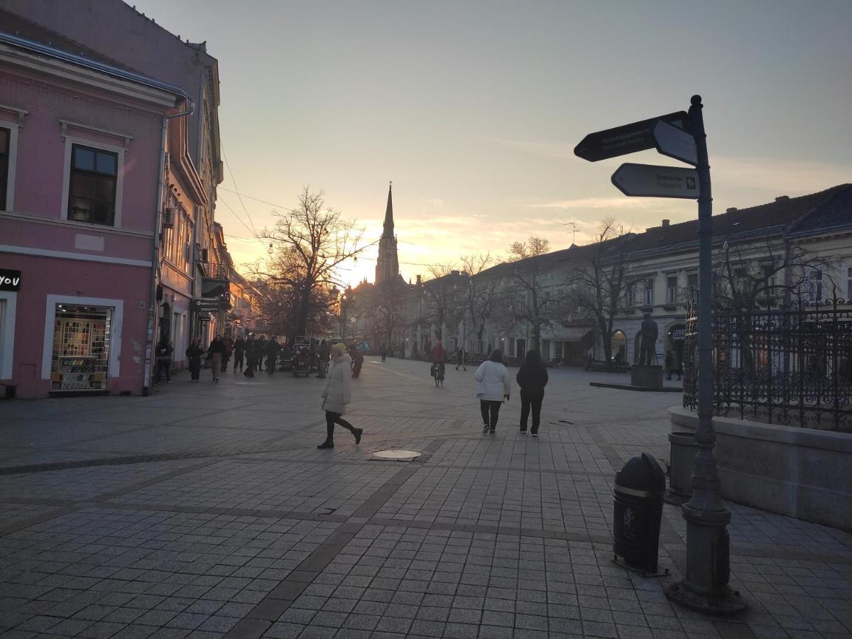 Woody Lägenhet Novi Sad Exteriör bild
