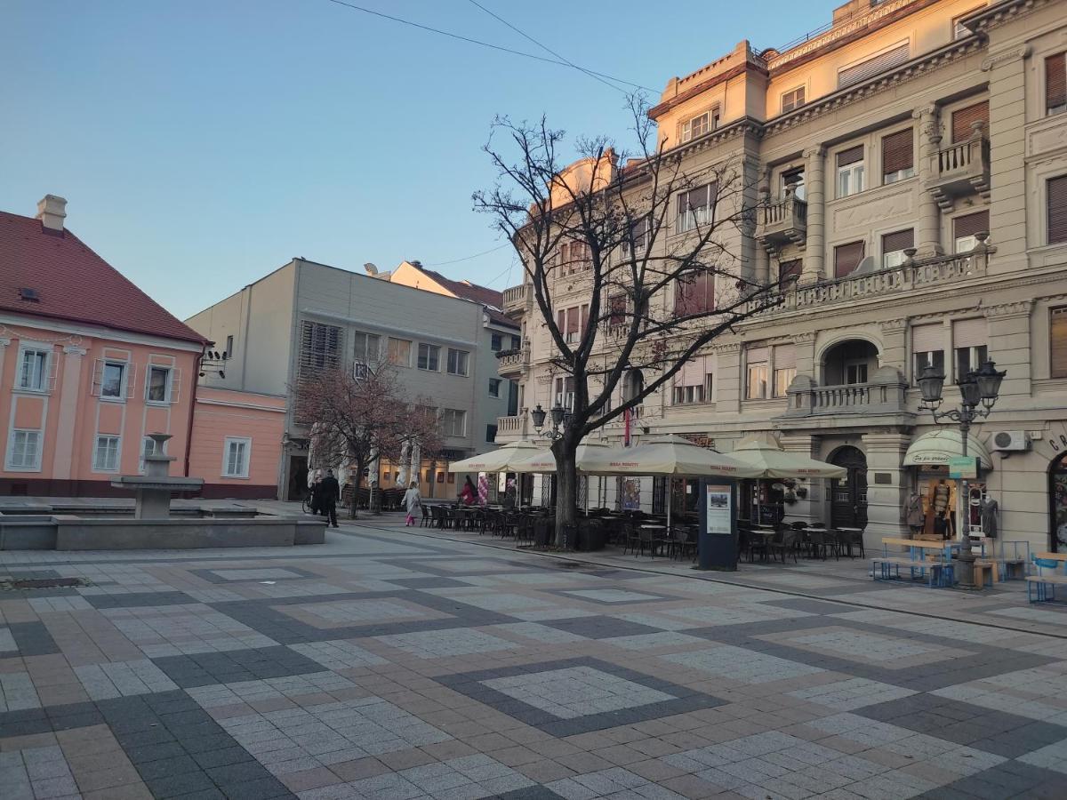 Woody Lägenhet Novi Sad Exteriör bild