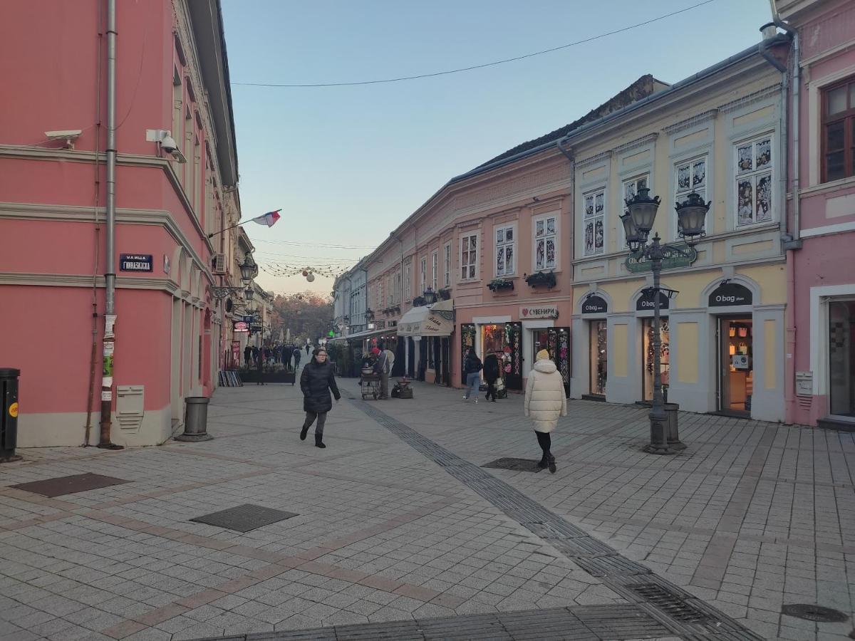 Woody Lägenhet Novi Sad Exteriör bild