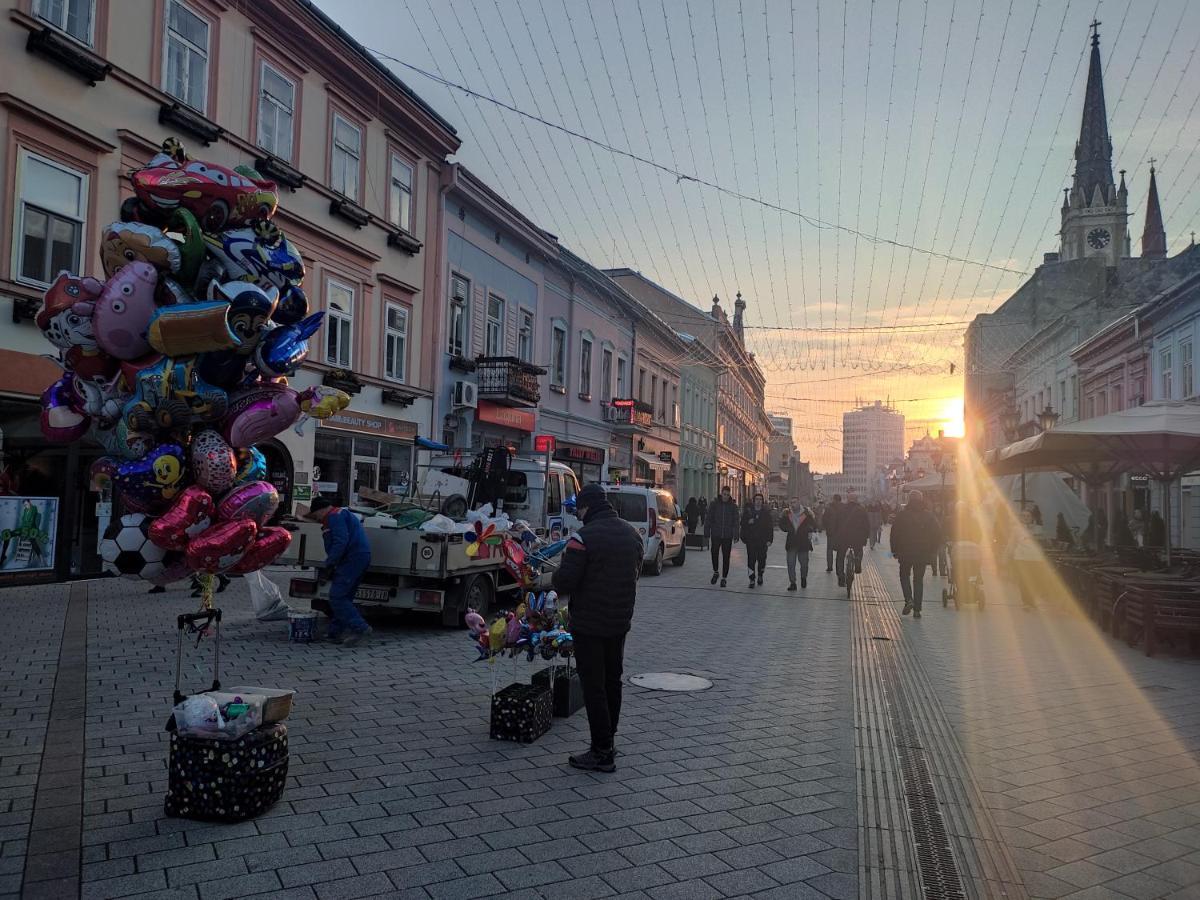 Woody Lägenhet Novi Sad Exteriör bild